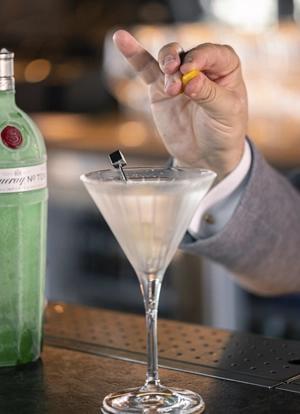 COPA COCKTAIL TIMELESS MARTINI 21 CL – CAJA DE 6 UNIDADES