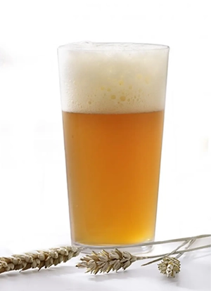 VASO CERVEZA SORIA 30 CL – CAJA DE 6 UNIDADES