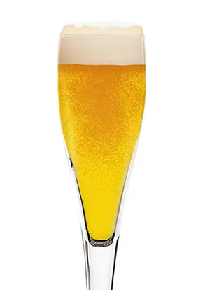 COPA CERVEZA EXCELSIOR 39 CL – CAJA DE 6 UNIDADES