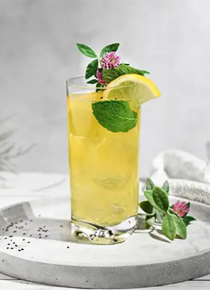 VASO COCKTAIL MIXOLOGY HIGH 40 CL – CAJA DE 6 UNIDADES