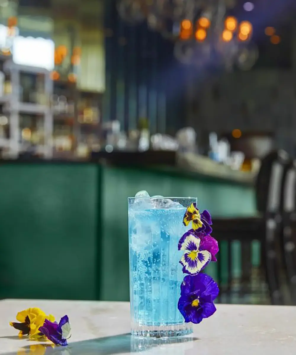 vaso-timeless-44.webp